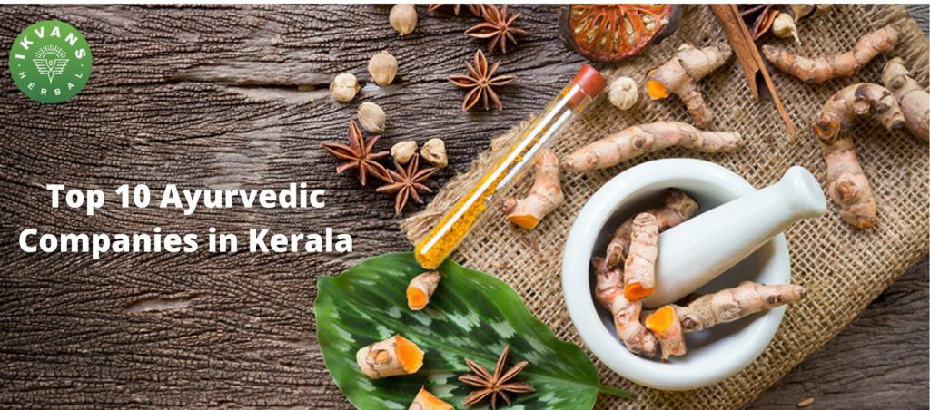 Top 10 Ayurvedic Companies in Kerala | Top 10 Best Ayurvedic Companies ...