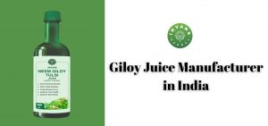 Giloy Juice Manufacturer in India
